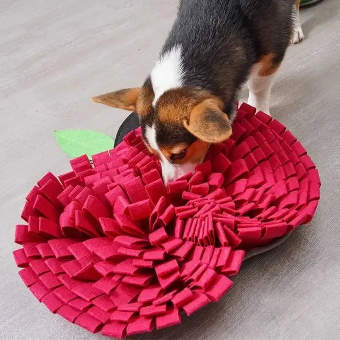 AppleForage •  Hund Snuffle Mat
