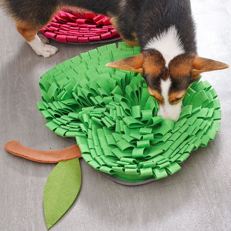 AppleForage •  Hund Snuffle Mat