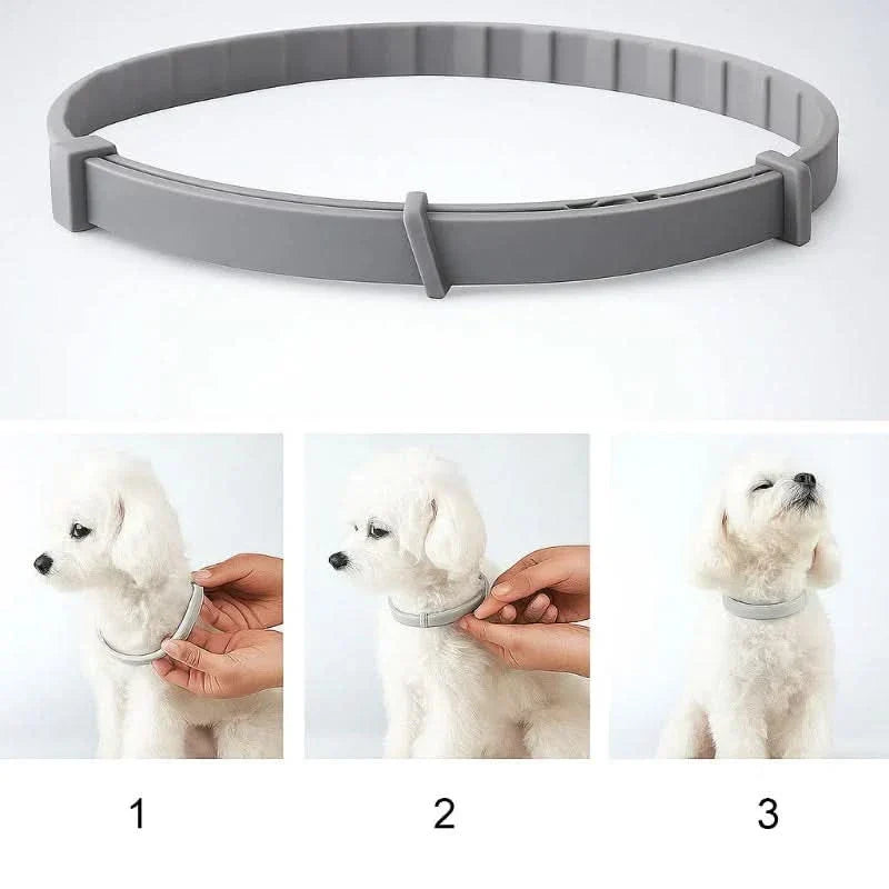 FLASHIELD COLLAR – Urtebaseret flåtforsvarskrage til hunde og katte