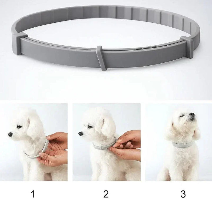 FLASHIELD COLLAR – Urtebaseret flåtforsvarskrage til hunde og katte