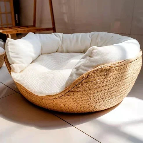 Bambusseng