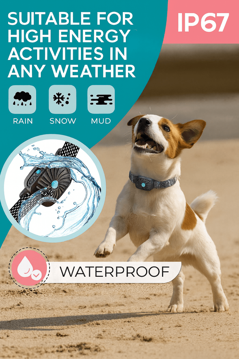 BarkLess Nano – Blid Anti-Bark Krave til Hvalpe &amp; Små Hunde