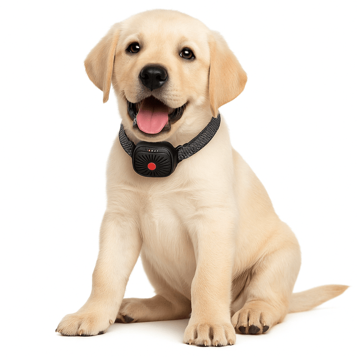 BarkLess Nano – Blid Anti-Bark Krave til Hvalpe &amp; Små Hunde