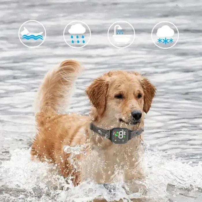 BarkPro • Touch Screen Hundebark Krave