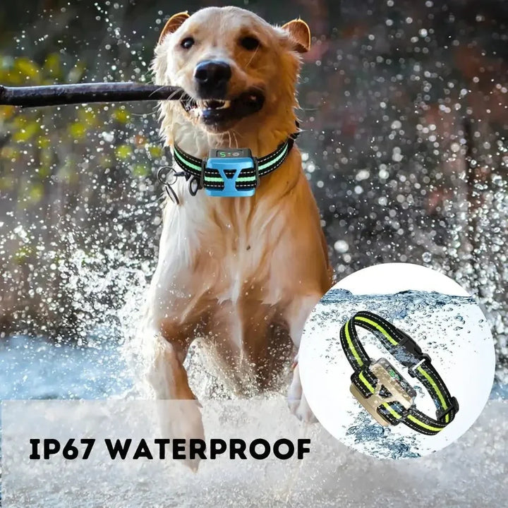 BarkSmart • Genopladelig Anti-Bark Krave