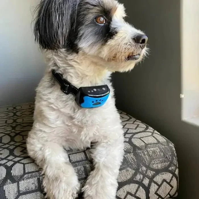 BarkTamer • Anti-Bark Krave