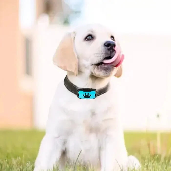 BarkTamer • Anti-Bark Krave