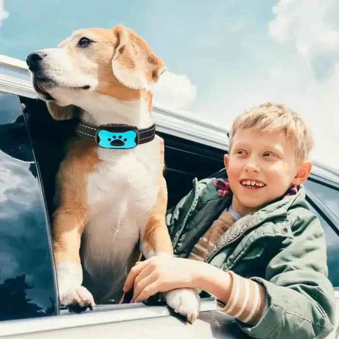 BarkTamer • Anti-Bark Krave