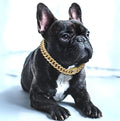 BlingPaws • Hund Guld Kæde Halsbånd