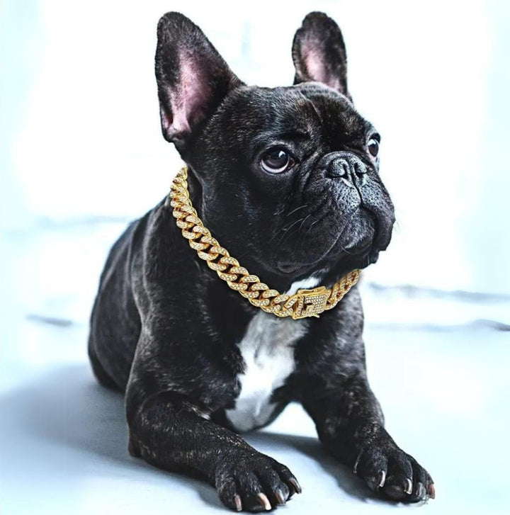 BlingPaws • Hund Guld Kæde Halsbånd