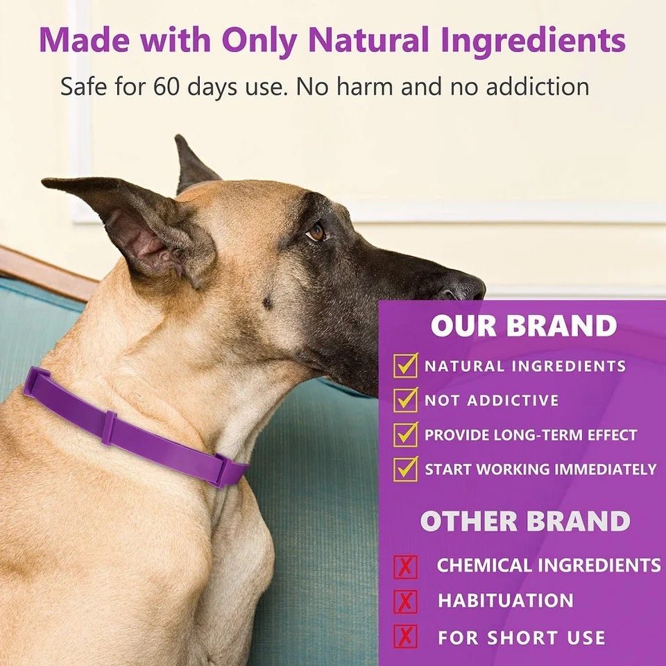 Calmdog – Naturlig Beroligende Krave til Hunde med Pheromoner og Æteriske Olier