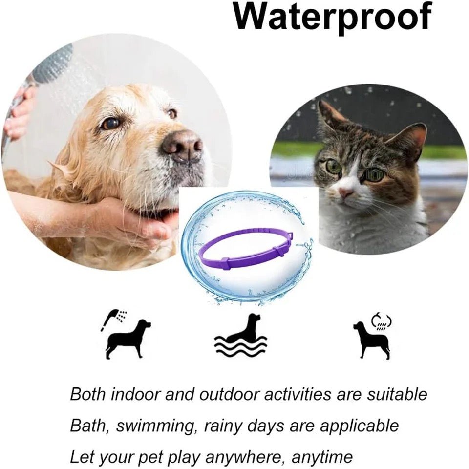 Calmdog – Naturlig Beroligende Krave til Hunde med Pheromoner og Æteriske Olier