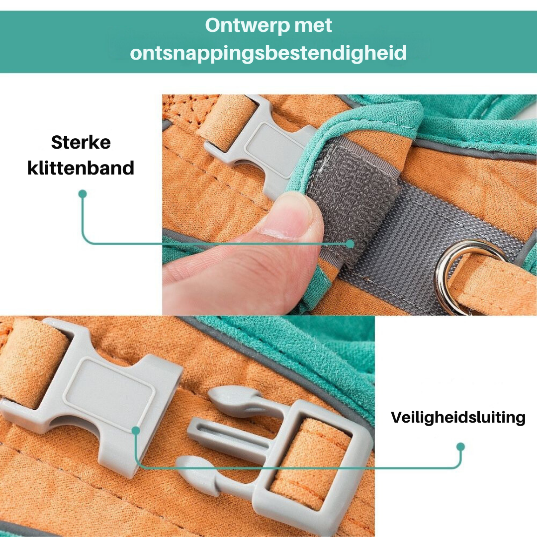 Kattesele - Oscar