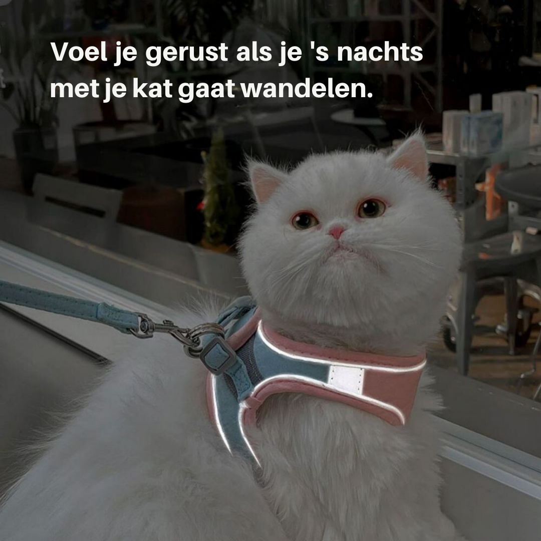 Kattesele - Oscar