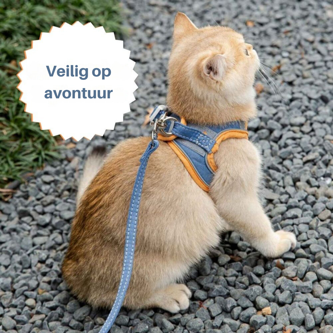 Kattesele - Oscar