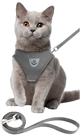 Kattesele med Snor - AdventureKit