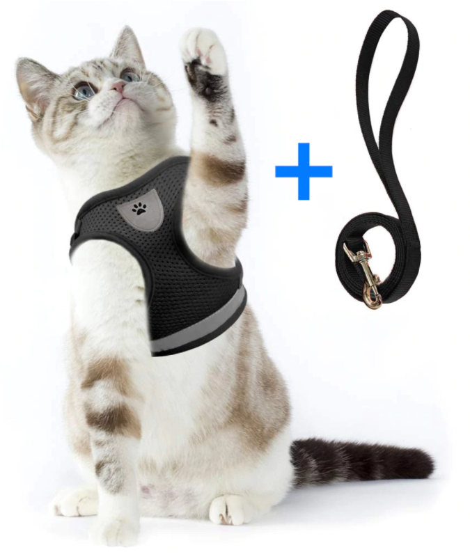 Kattesele med Snor - AdventureKit