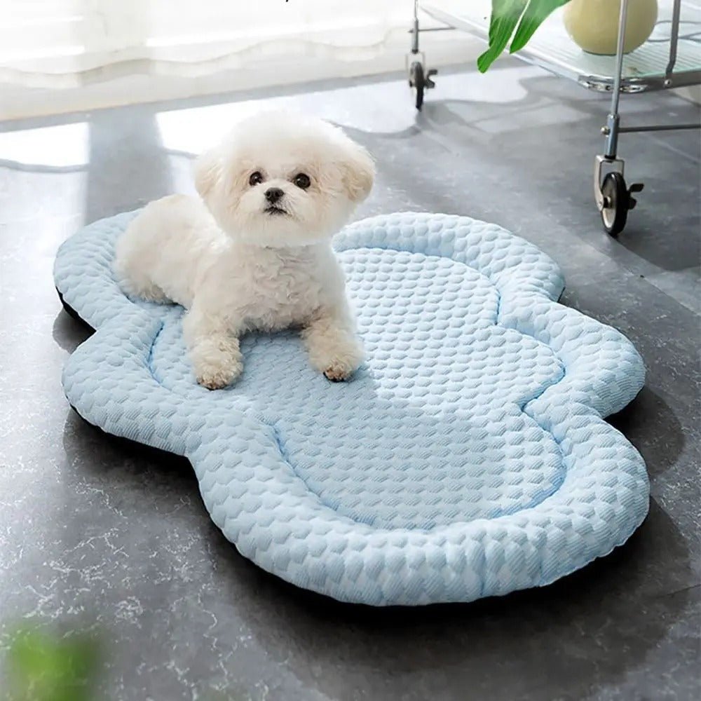 CLOUDCOOL – Åndbar Kølemåtte til Hunde på Varme Dage