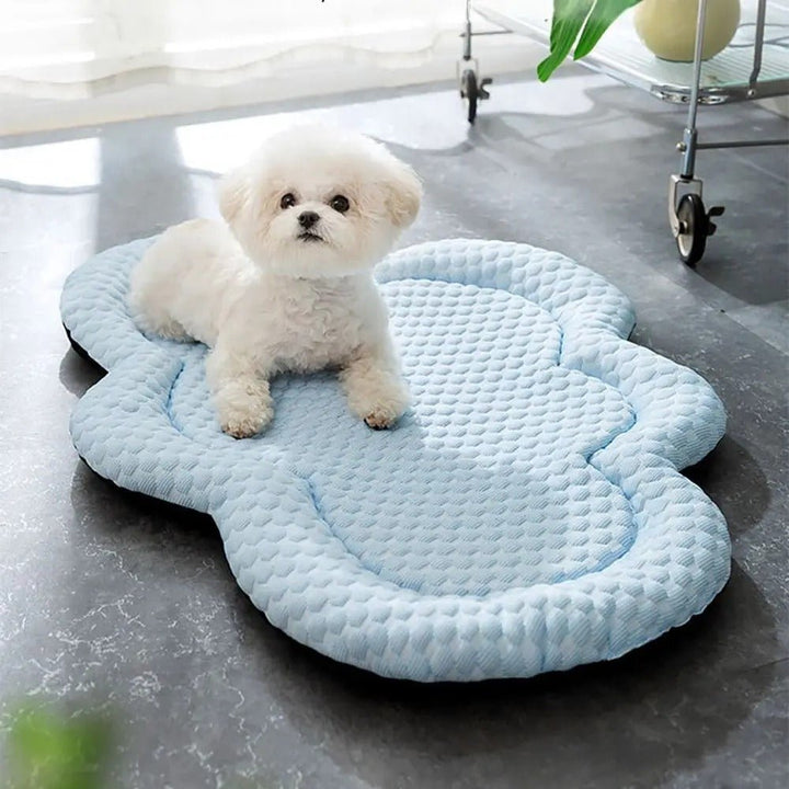 CLOUDCOOL – Åndbar Kølemåtte til Hunde på Varme Dage