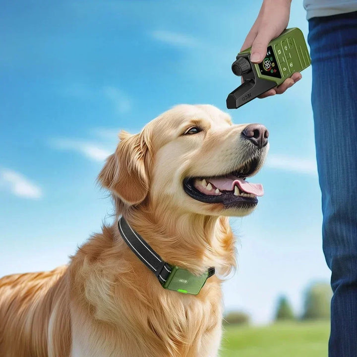 JECO – Professionel Hundetræningskrave | Anti-Bark &amp; Fjernbetjening