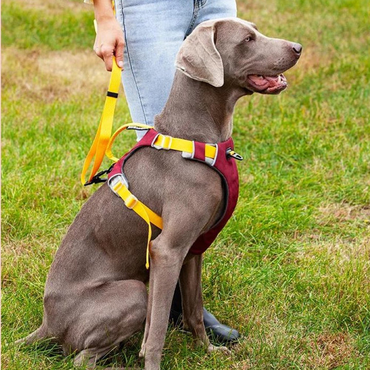 ComfortFit • Ingen Træk Hundesele