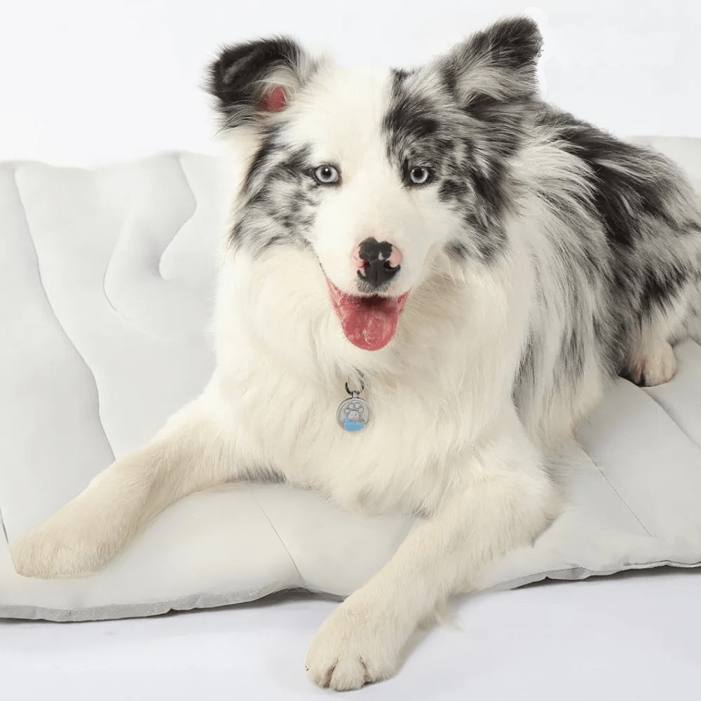CoolPaws Kølemåtte – Selv-kølende Hundemåtte til Lindre Varme om Sommeren
