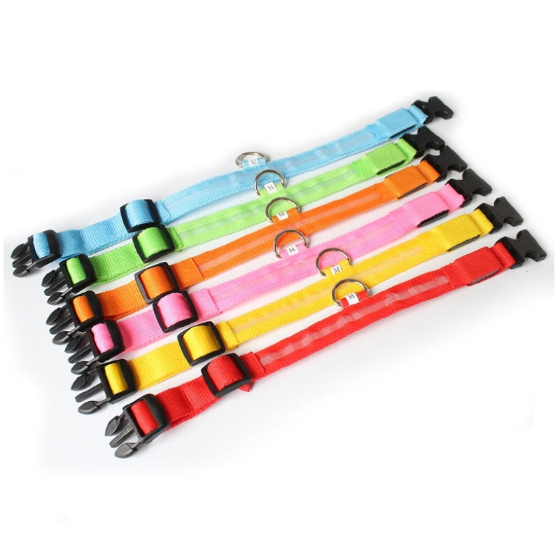 Hundehalsbånd med LED-belysning - GlowCollar