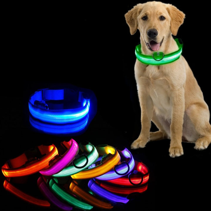 Hundehalsbånd med LED-belysning - GlowCollar