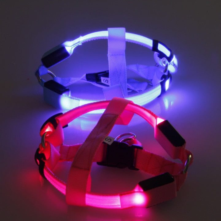 Hundesnor med LED - Glow&amp;Go