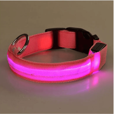 Hundehalsbånd med LED-lys |