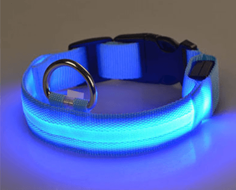 Hundehalsbånd med LED-lys |