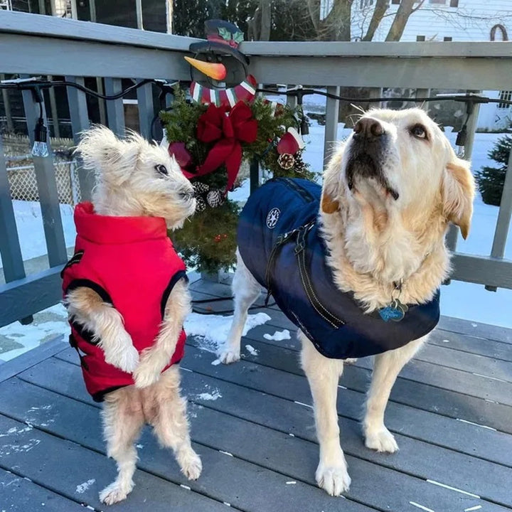 Vandtæt Hundejakke til Vinter med Reflekterende Indbygget Sele