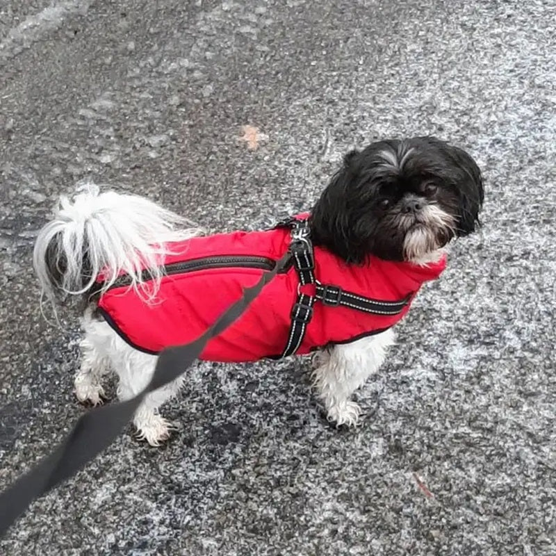 Vandtæt Hundejakke til Vinter med Reflekterende Indbygget Sele