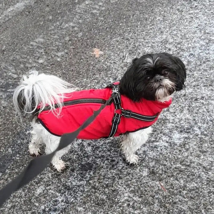 Vandtæt Hundejakke til Vinter med Reflekterende Indbygget Sele