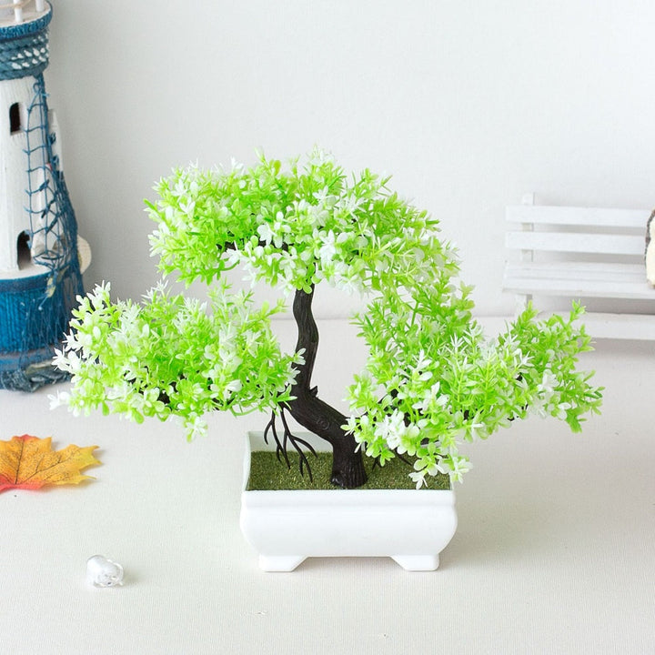 Plant Bonsai