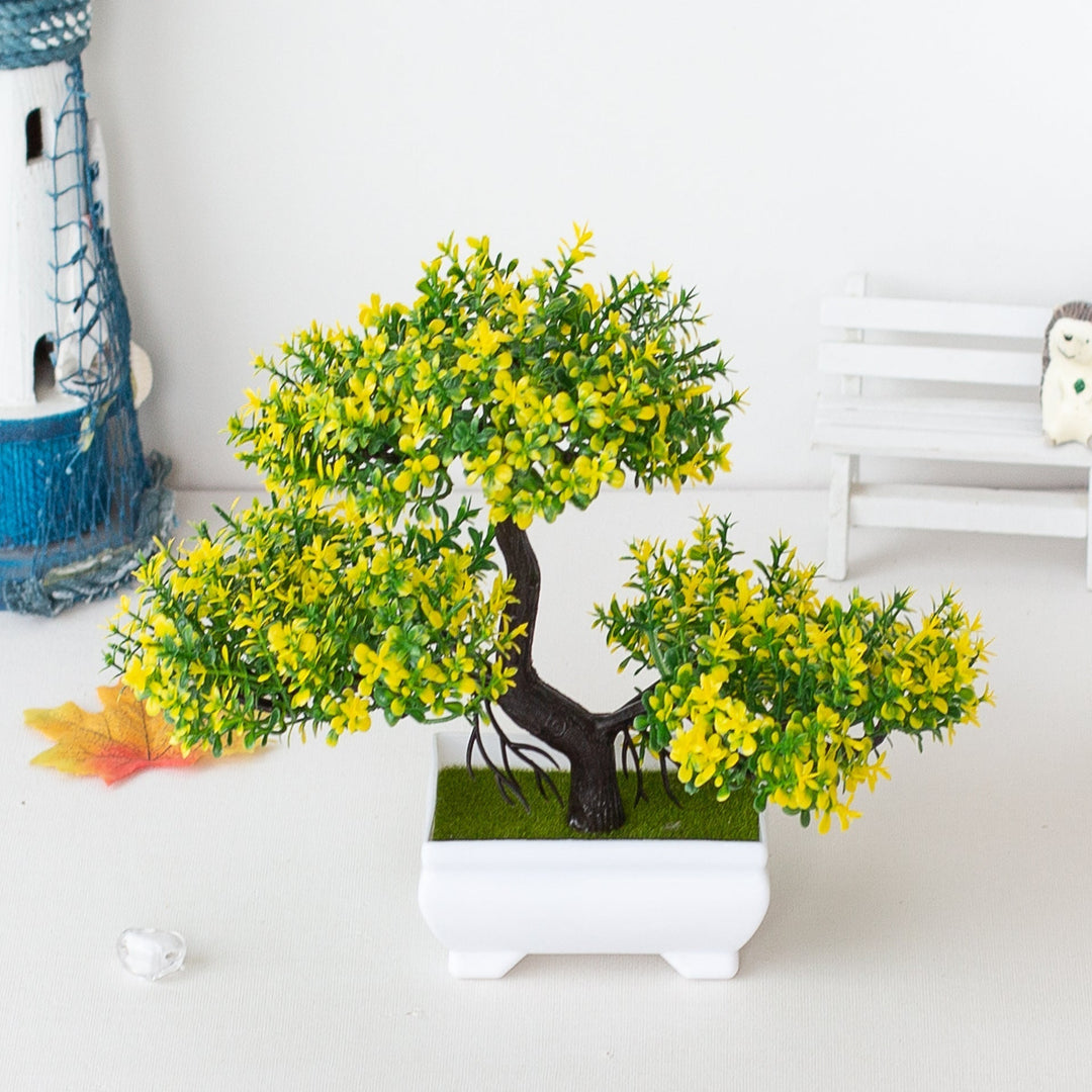 Plant Bonsai