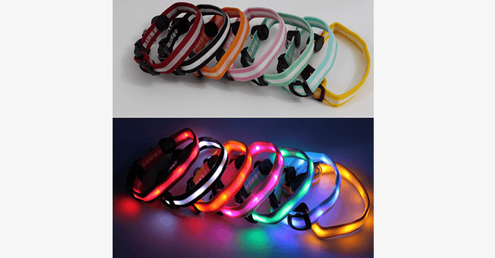 LED Hundehalsbånd – Hold øje med din kæledyr!