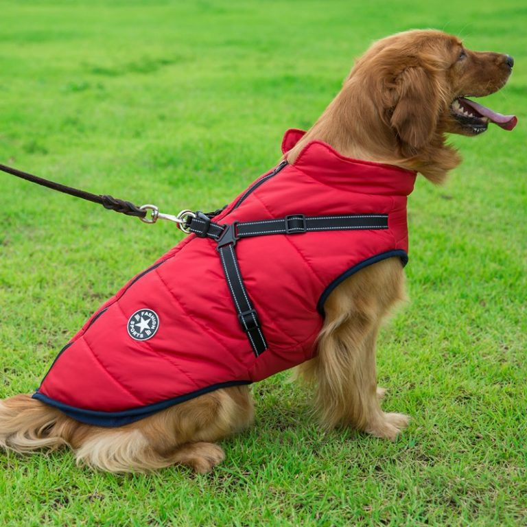 Vinter hundejakke med sele |