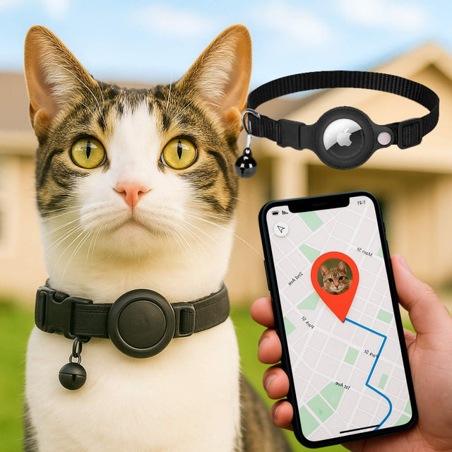 FELITRACK – GPS Tracker Halsbånd til Kat med Reflekterende Design