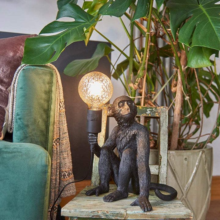 Abe Lampe