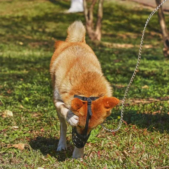 FlexGuard • Kurv Hundemuzzle