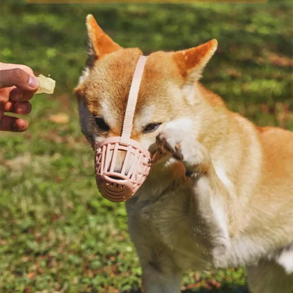 FlexGuard • Kurv Hundemuzzle