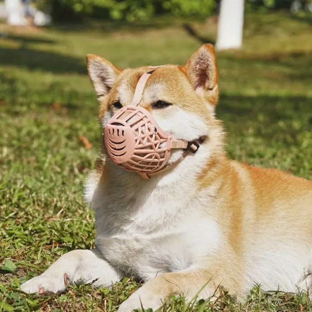 FlexGuard • Kurv Hundemuzzle