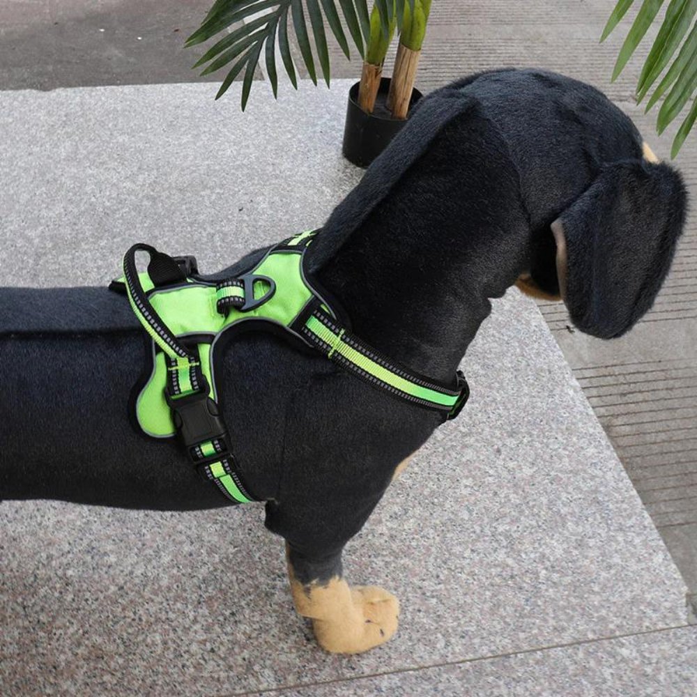 FlexHarness  •  Ingen Træk Hundesele