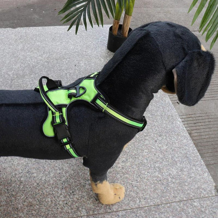FlexHarness  •  Ingen Træk Hundesele