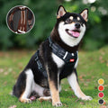 Reflekterende Hundesele |