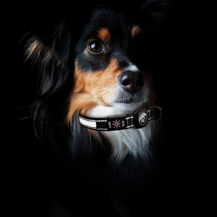GlowGuard • AirTag Hundehalsbånd