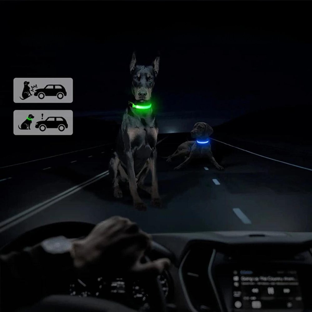 GlowGuard • AirTag Hundehalsbånd