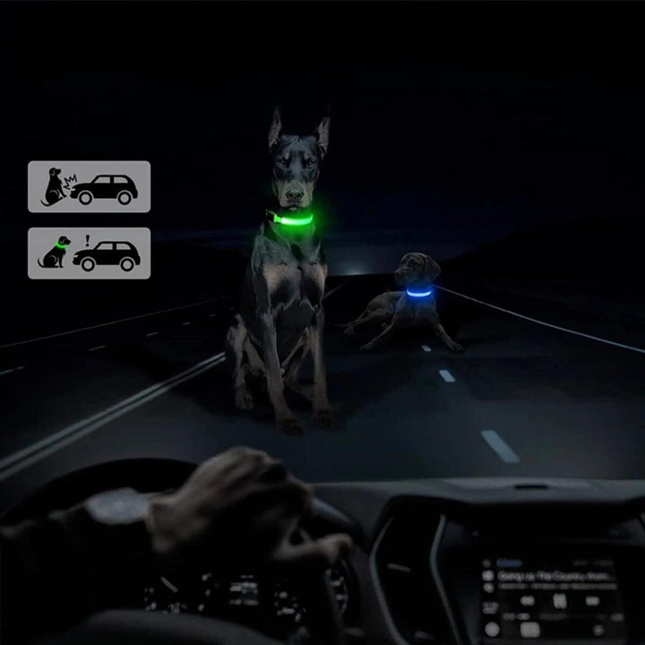 GlowGuard • AirTag Hundehalsbånd