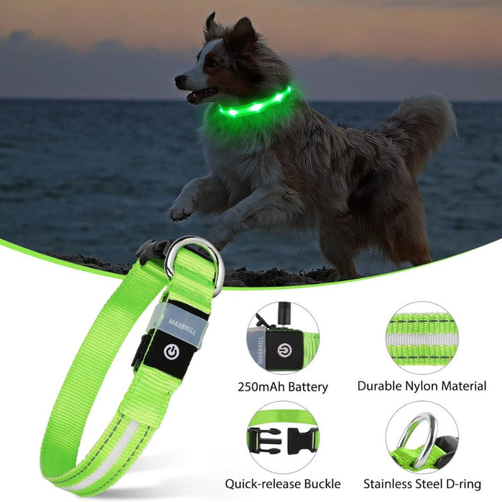 GlowGuard • AirTag Hundehalsbånd